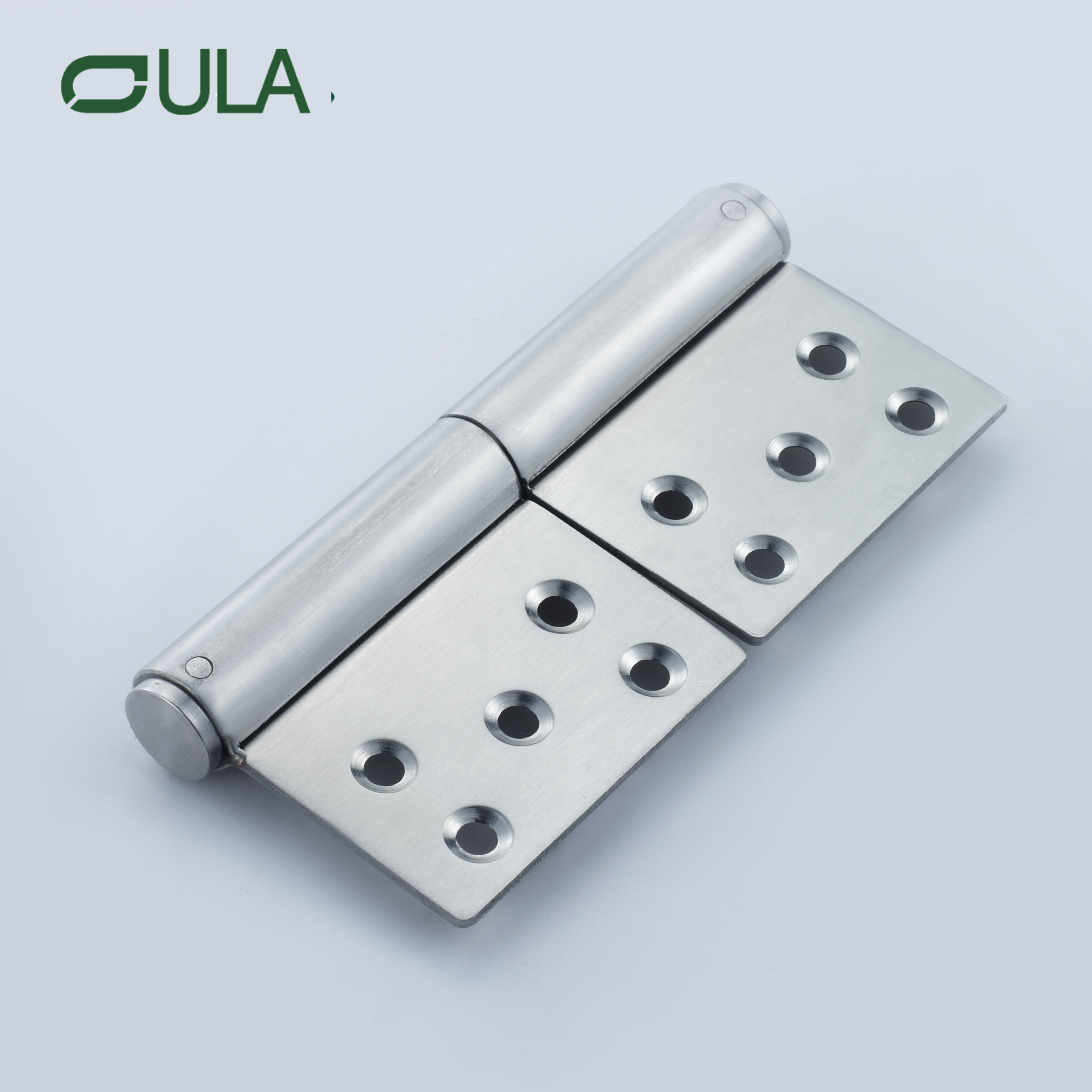 OEM / ODM 5 pouces Hinges de drapeau en acier inoxydable